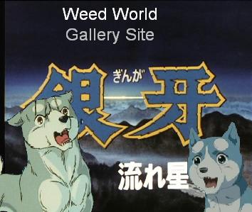 Weed World Gallery Site